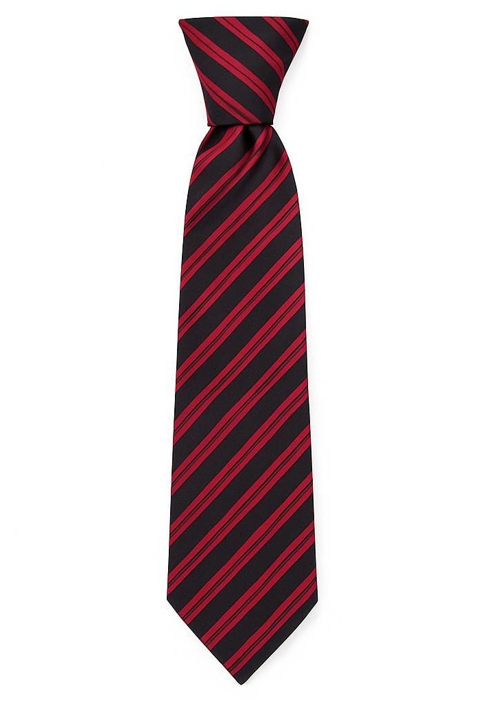 The Radclyffe High School Clip-on Tie