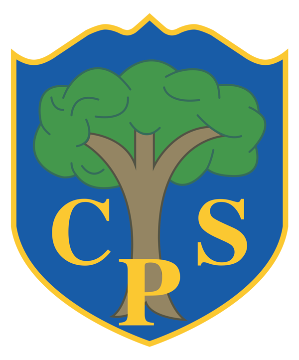 Coppice Primary School